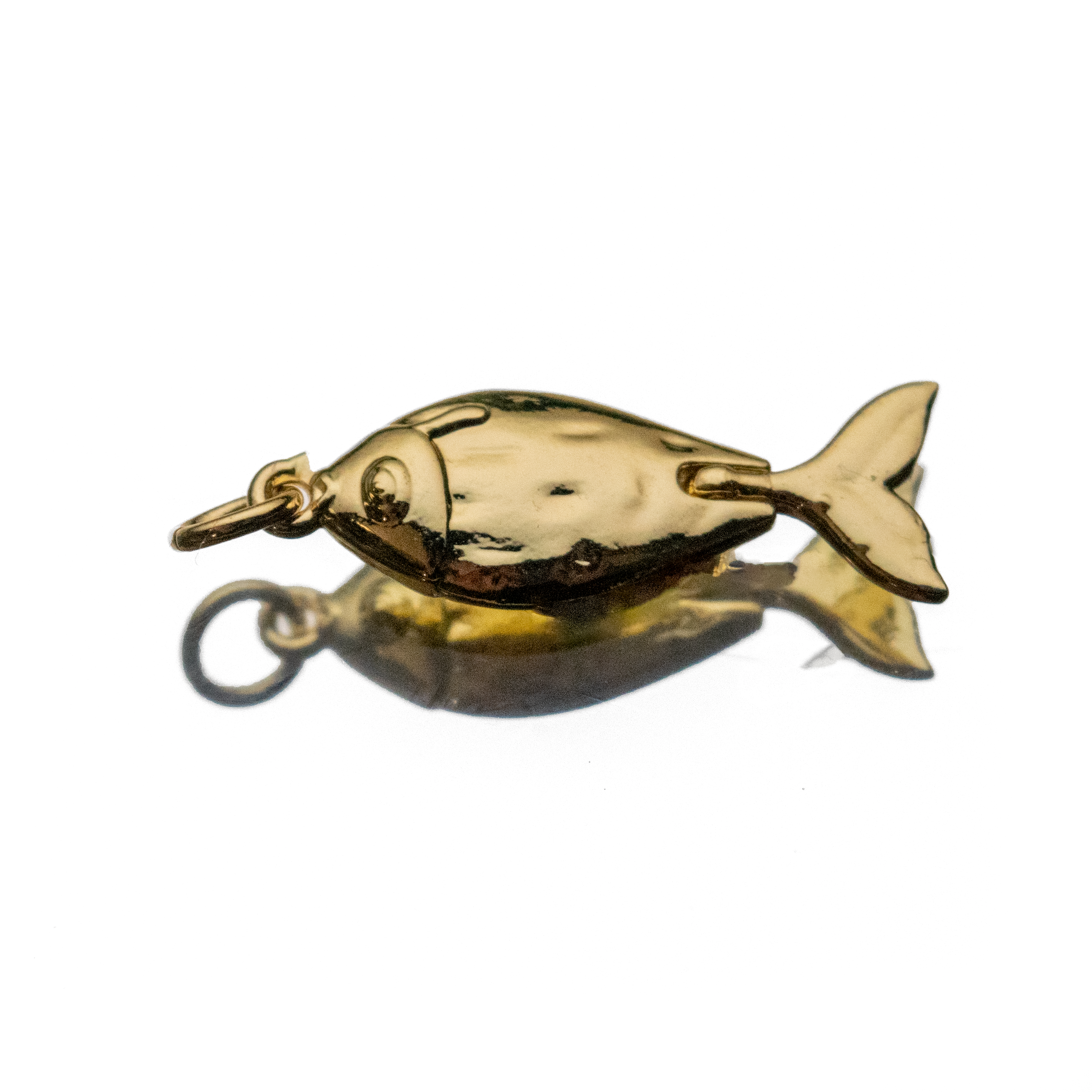 CATCH OF THE DAY
